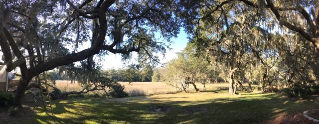 908 Preston Road Charleston, SC 29412 - Photo 13 of 54 IMG_8769