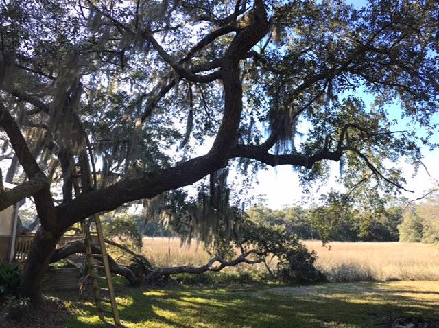 908 Preston Road Charleston, SC 29412 - Photo 27 of 54 IMG_8767