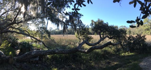 908 Preston Road Charleston, SC 29412 - Photo 28 of 54 IMG_8771