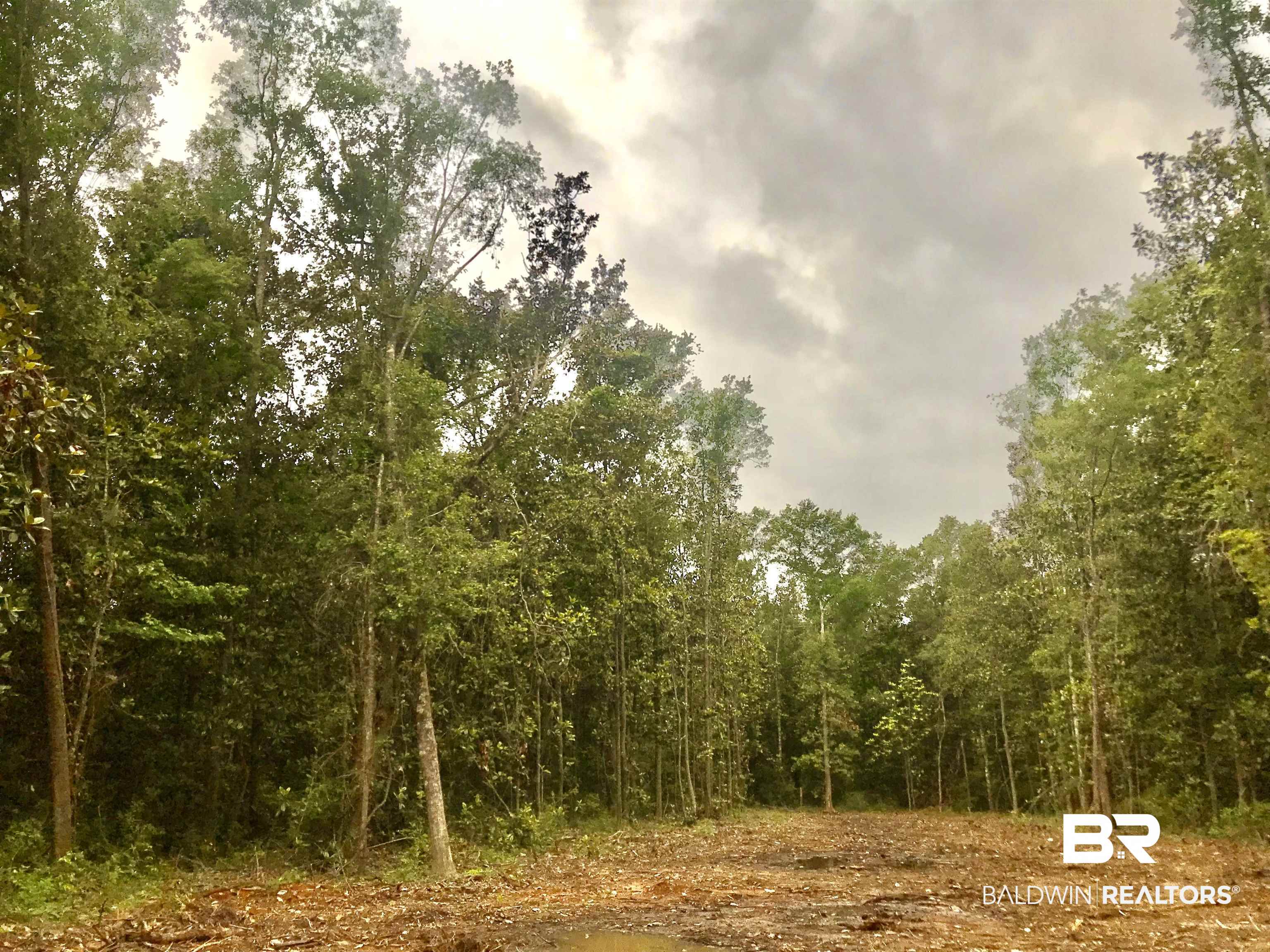 14356 State Highway Silverhill, AL 36576 - Photo 4 of 15