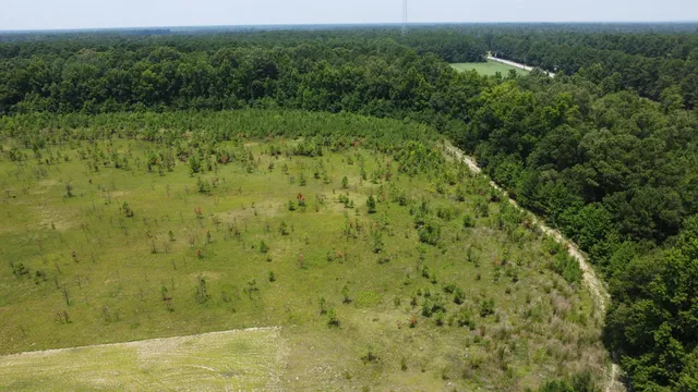 $200,000 | 0 Murrell Block Drive, Pineville, SC 29468