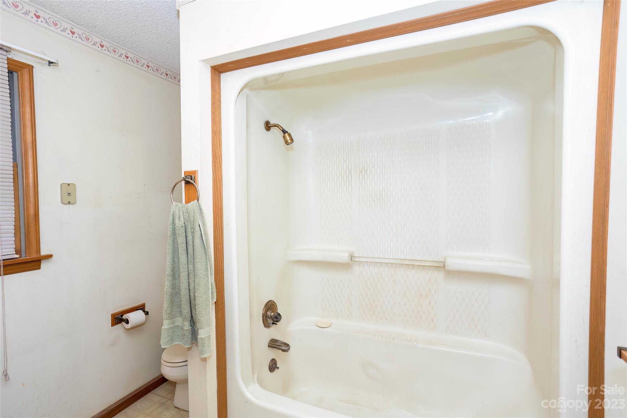 50 Morgan Branch Road Leicester, NC 28748 - Photo 11 of 41 a bathroom with a bathtub