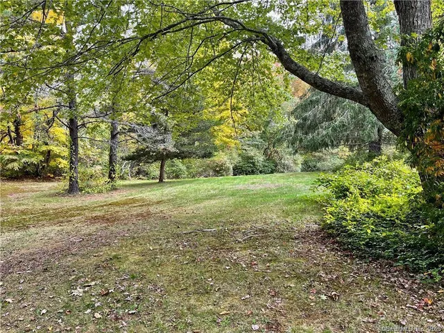 a view of outdoor space with trees all around