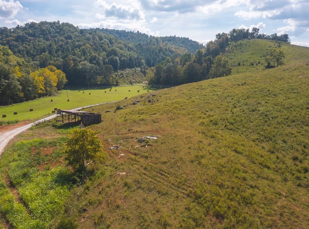 215 Ed Hollow Road Eidson, TN 37731 - Photo 39 of 60 Gallery Image 39