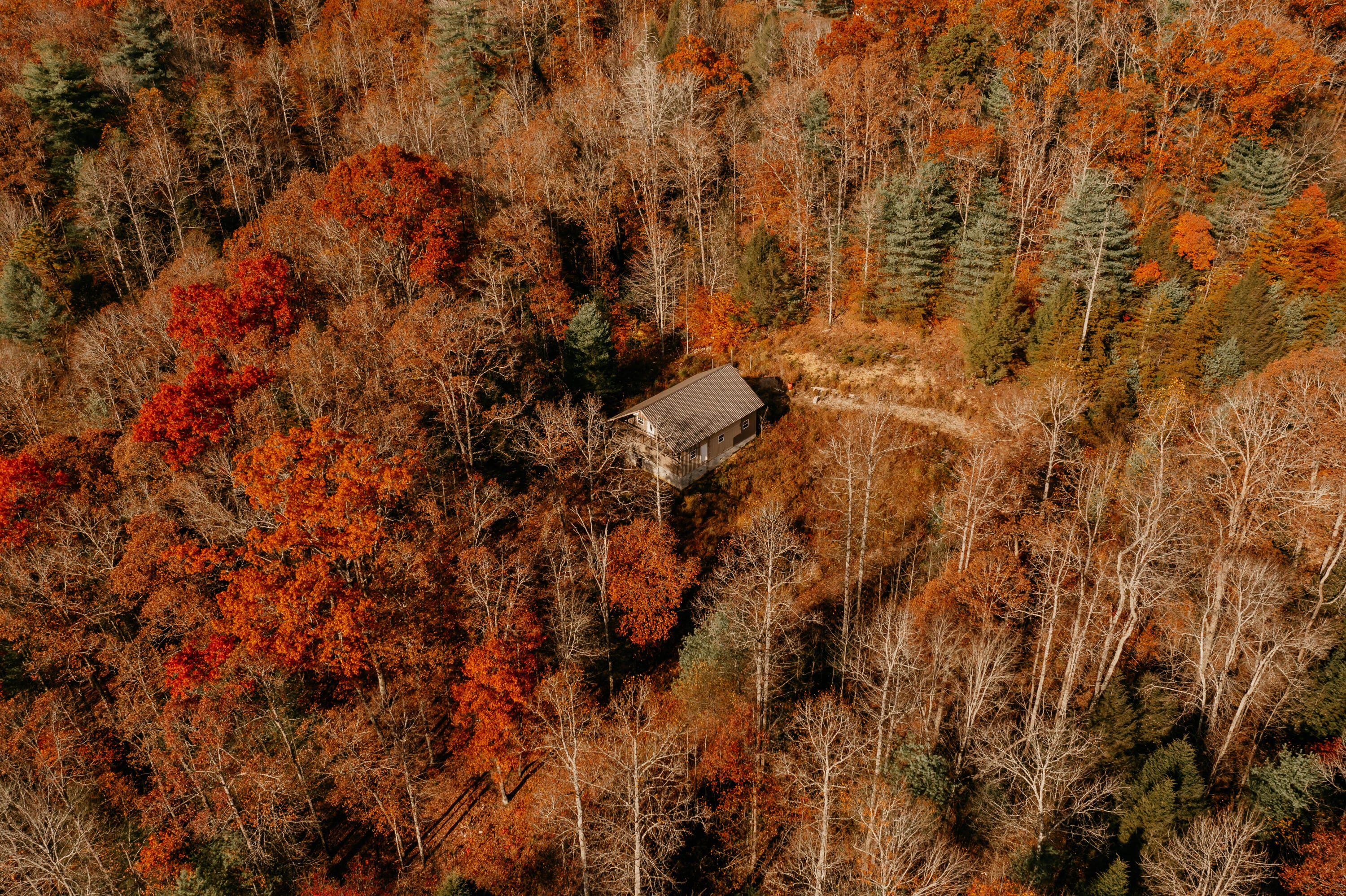 514 Adams Road Pine Ridge, KY 41360 - Photo 4 of 51 DJI_0037