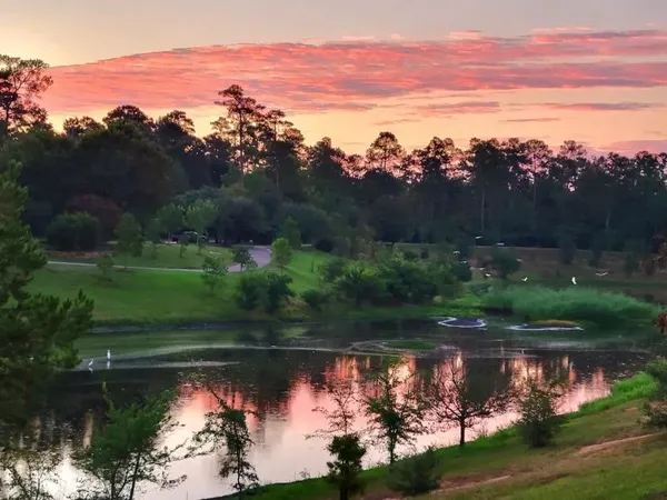 $3,500 | 158 North Whistlers Bend Circle, The Woodlands, TX 77384