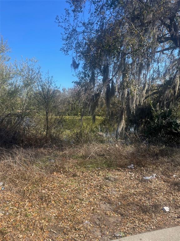 3301 Lake Drive Plant City, FL 33563 - Photo 2 of 3
