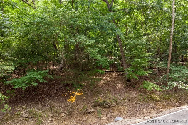 $10,000 | Lot 38 Chessman Dr Lake, Lake Ozark, MO 65049