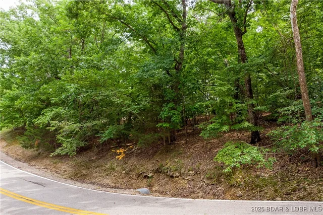 $10,000 | Lot 38 Chessman Dr Lake, Lake Ozark, MO 65049