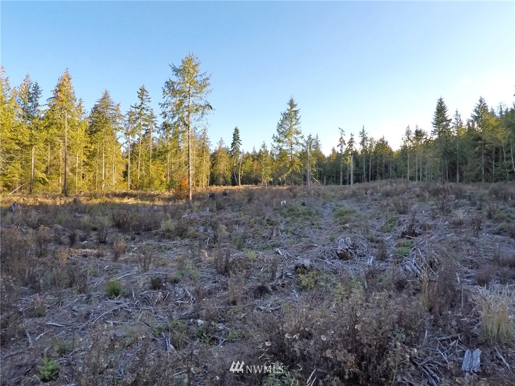 9999 Toad Road Sequim, WA 98382 - Photo 5 of 12
