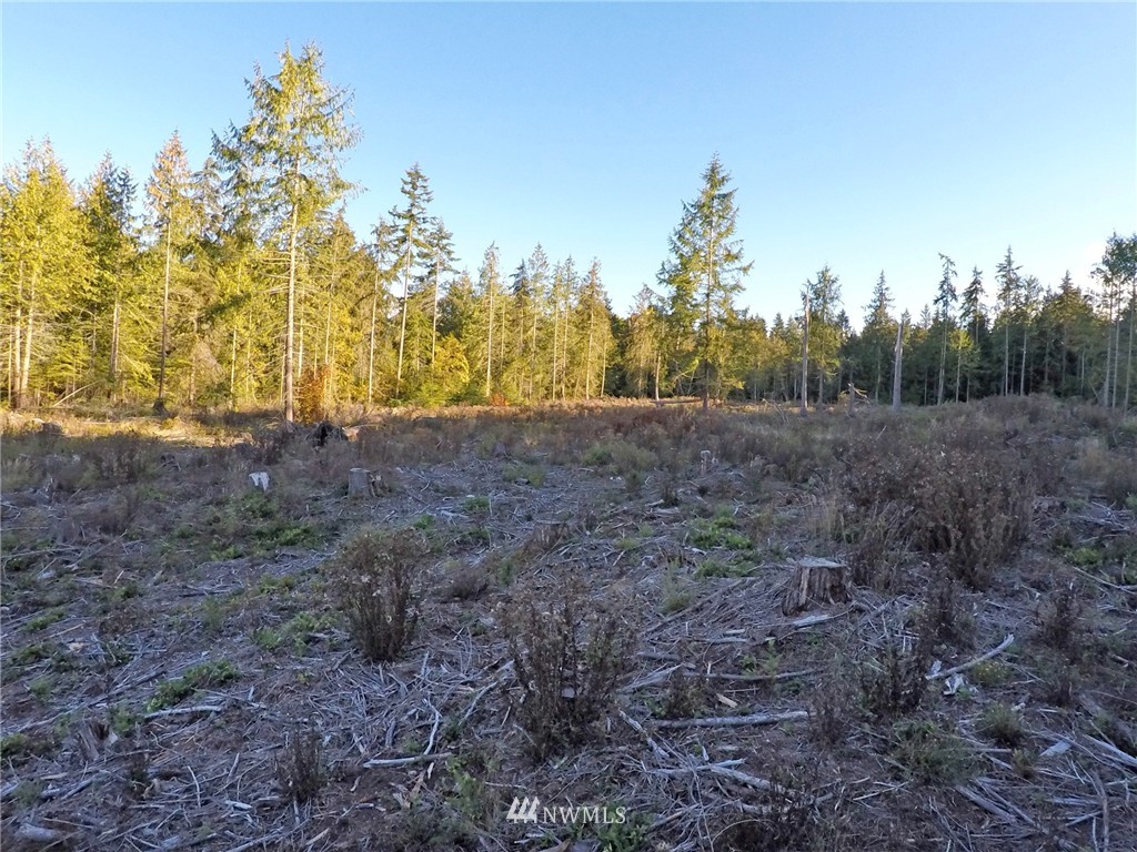9999 Toad Road Sequim, WA 98382 - Photo 7 of 12