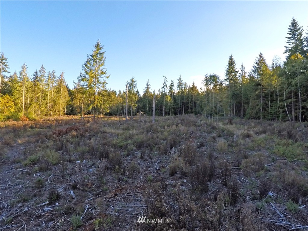 9999 Toad Road Sequim, WA 98382 - Photo 8 of 12