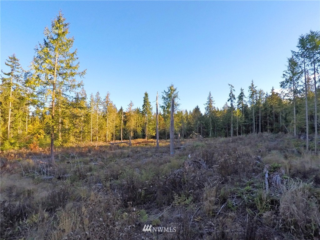 9999 Toad Road Sequim, WA 98382 - Photo 9 of 12