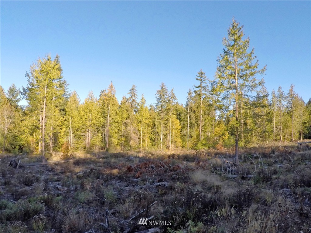 9999 Toad Road Sequim, WA 98382 - Photo 10 of 12
