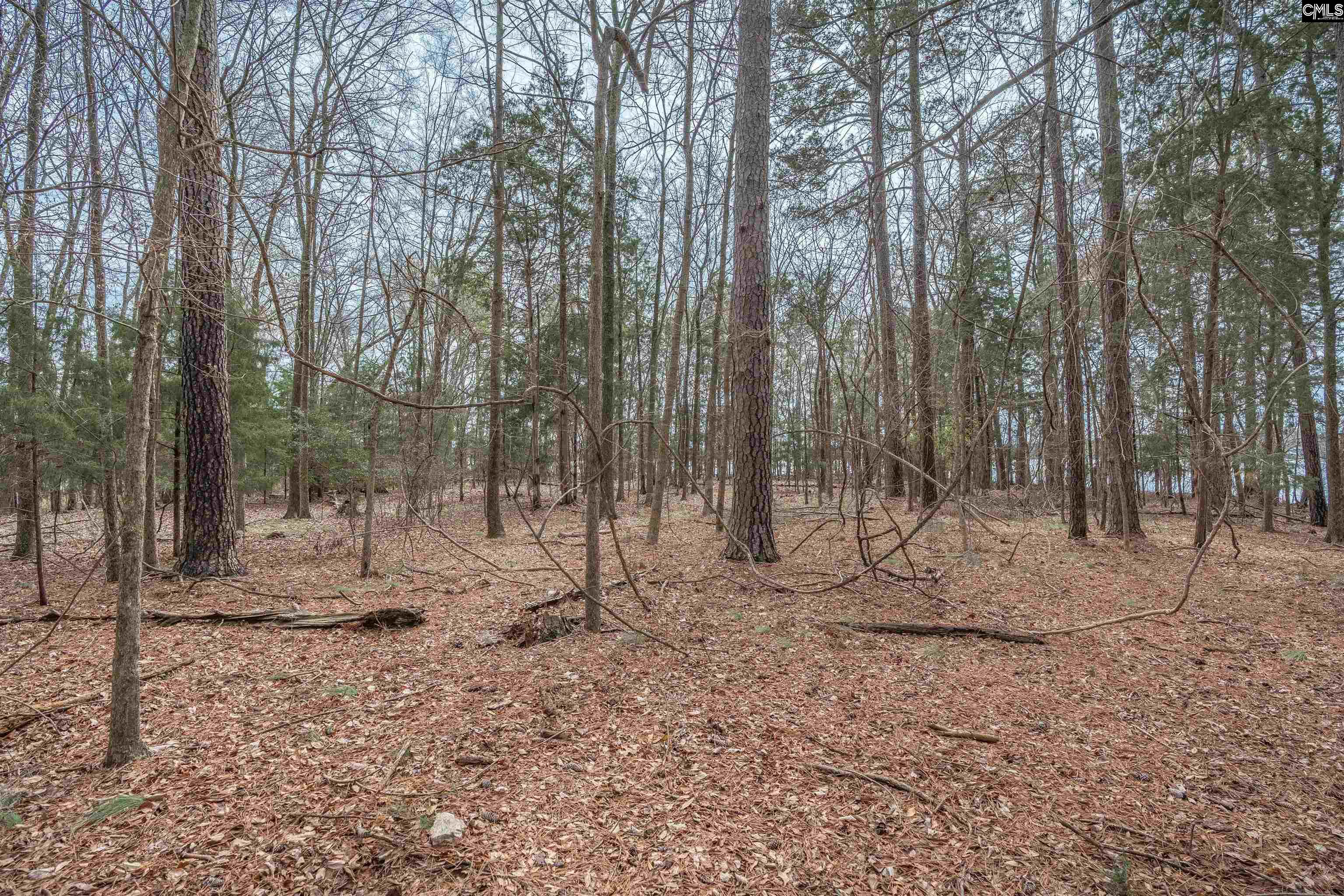 0 Circle H Woods Road Prosperity, SC 29127 - Photo 18 of 28