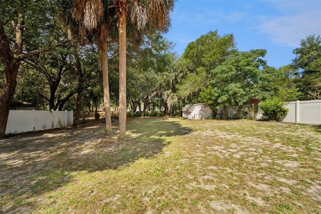 1050 Crystal Bowl Circle Casselberry, FL 32707 - Photo 51 of 64 a view of a yard with plants and trees