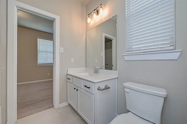a bathroom with a sink toilet and mirror