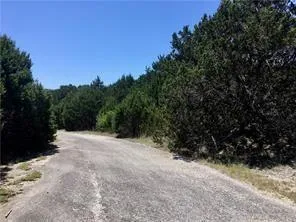 a view of a bunch of trees in a field