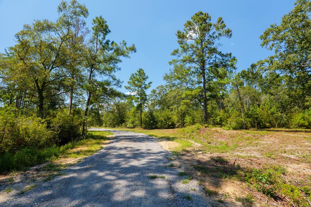 0 Union Road Hahira, GA 31632 - Photo 32 of 49 Gallery Image 32