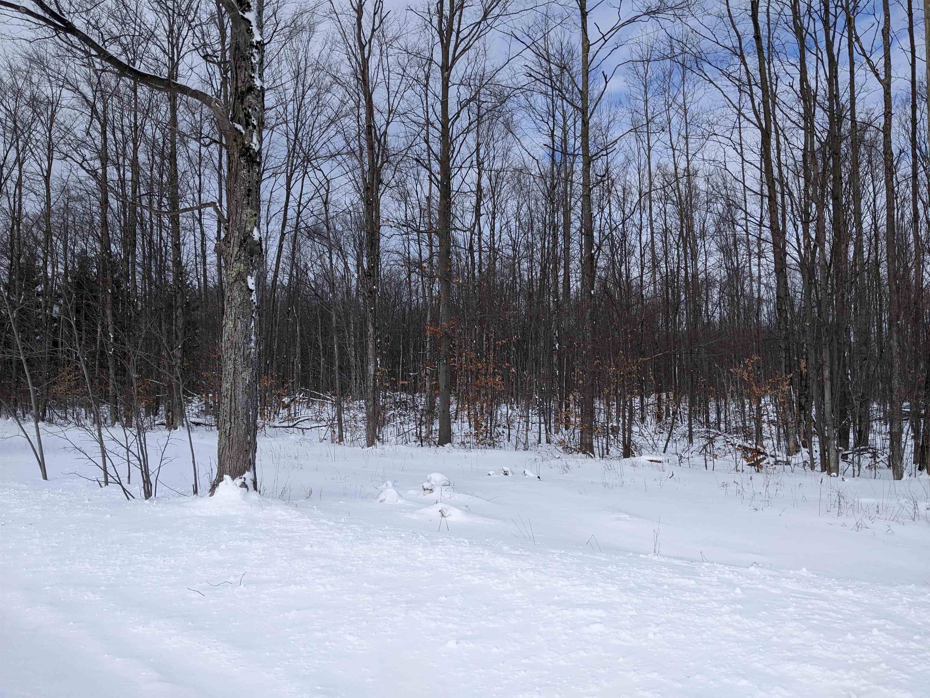 0 Soderquist Road Mancelona, MI 49659 - Photo 1 of 8
