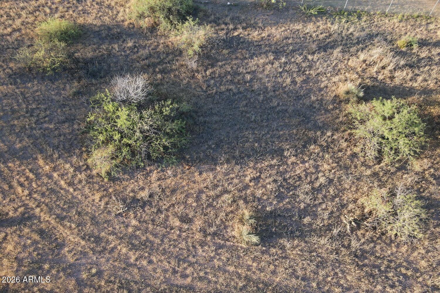 4690 East Beaver Creek Road, Unit 47 Rimrock, AZ 86335 - Photo 14 of 29 a view of a yard with a tree