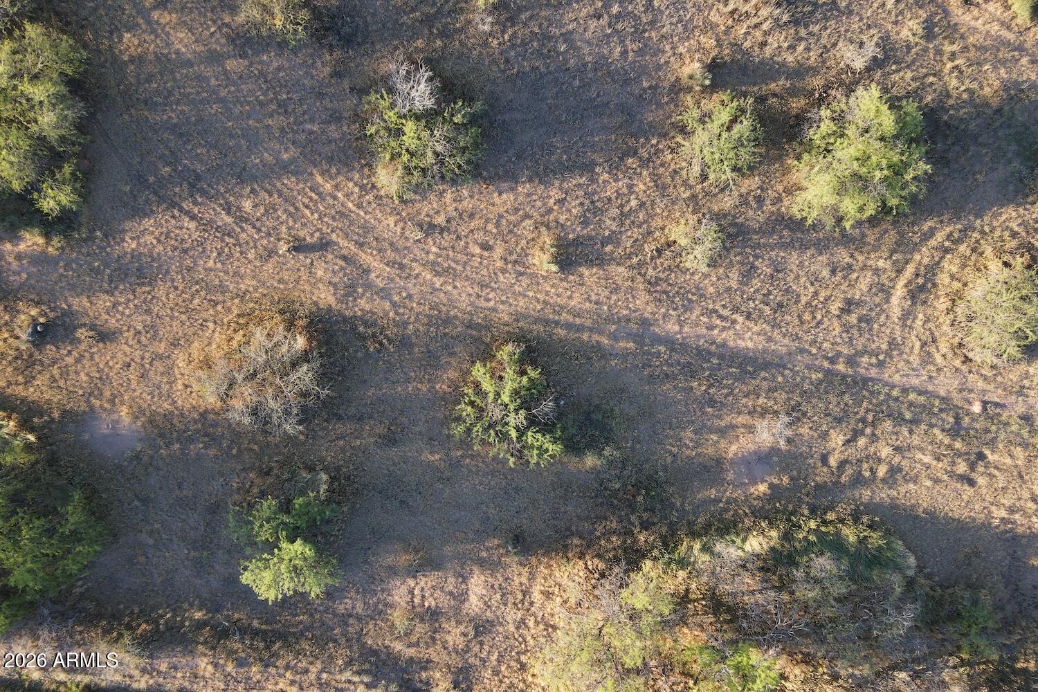 4690 East Beaver Creek Road, Unit 47 Rimrock, AZ 86335 - Photo 15 of 29 a view of a garden with a chair