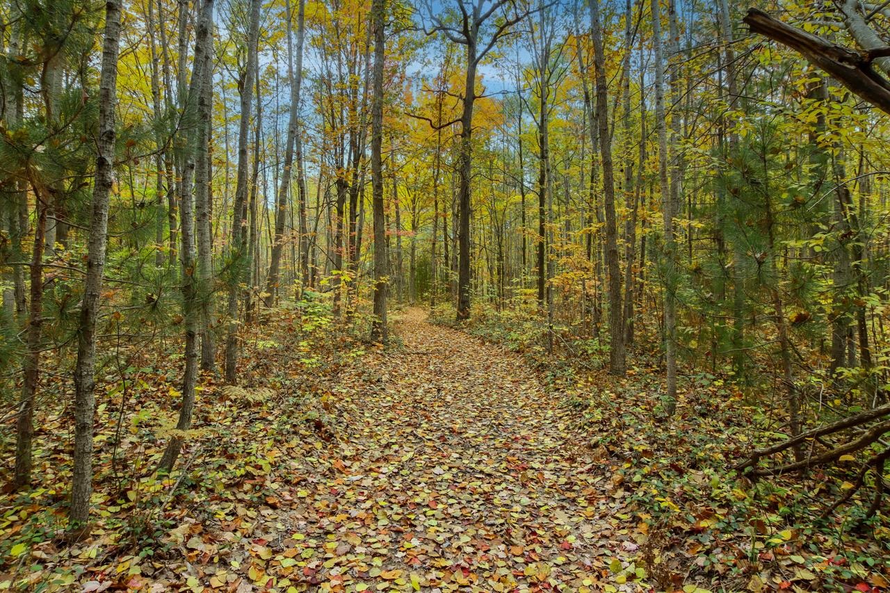 Parcel A Riley Road Interlochen, MI 49643 - Photo 13 of 16