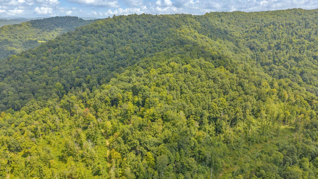 0 Wingfield Mountain Road Sandstone, WV 25985 - Photo 16 of 18 Gallery Image 16