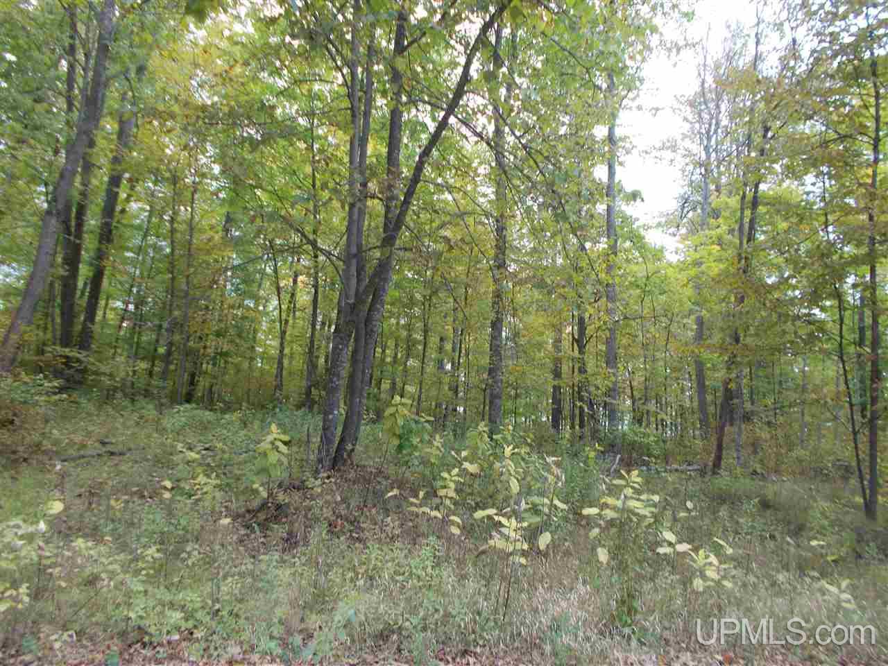 50-acres Camp Nine Road Ralph, MI 49877 - Photo 8 of 12