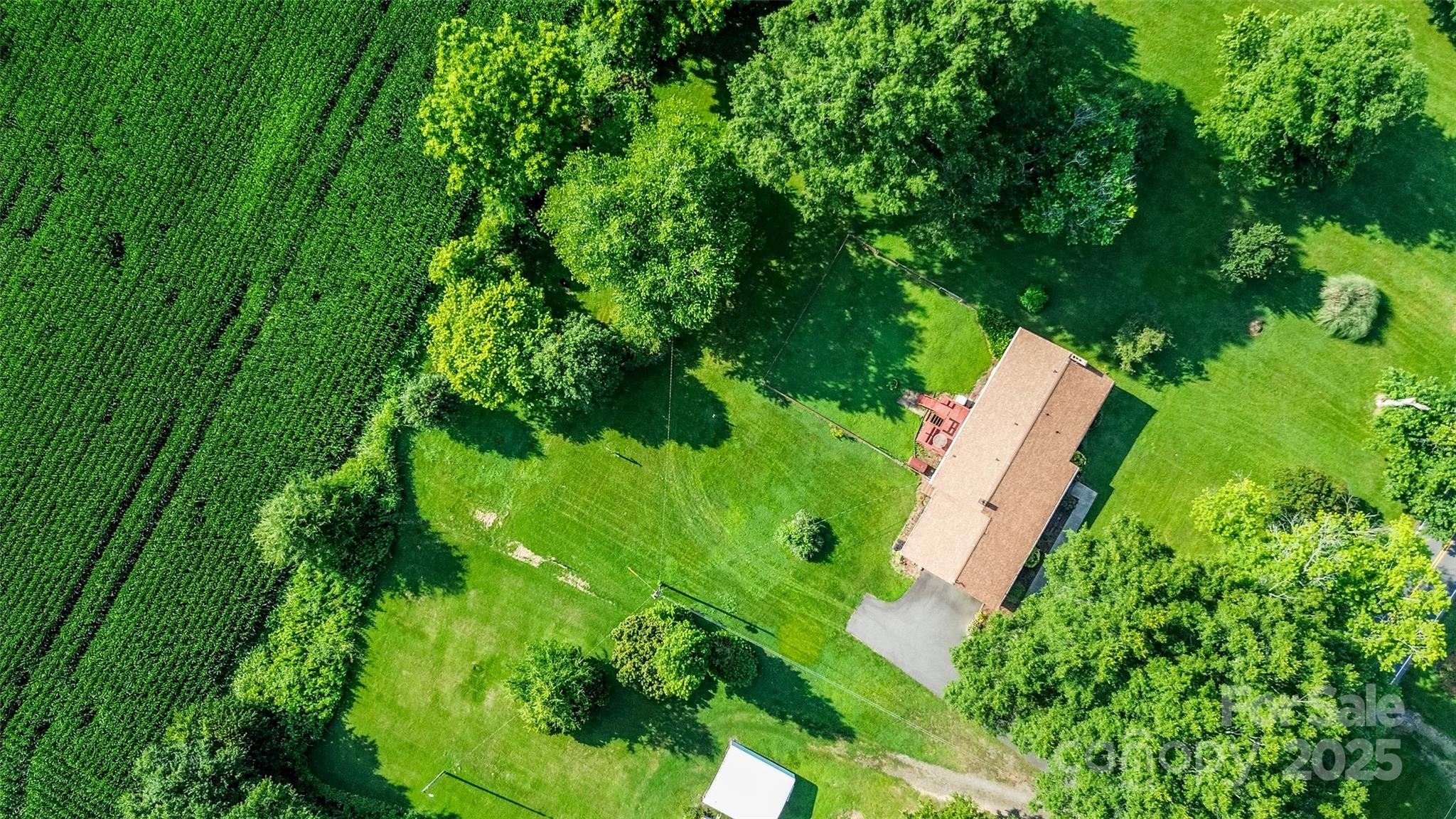 615 Bell Farm Road Statesville, NC 28625 - Photo 11 of 46 a view of a garden with plants