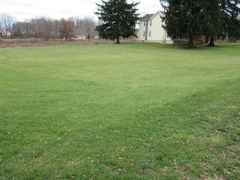 340 Winfield Road Cabot, PA 16023 - Photo 21 of 25 Land/Lot.