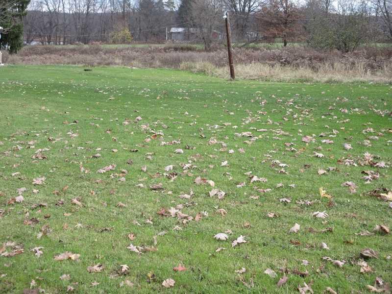 340 Winfield Road Cabot, PA 16023 - Photo 22 of 25 Land/Lot.