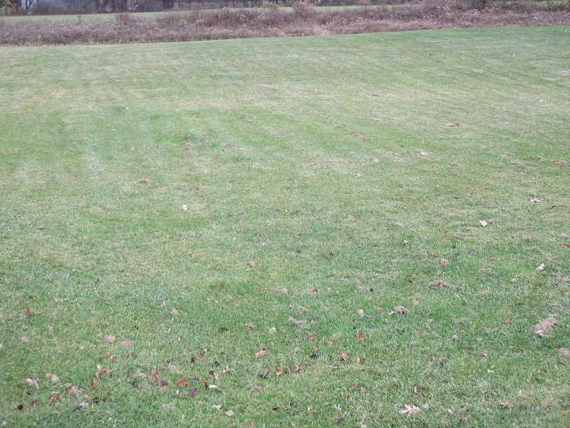 340 Winfield Road Cabot, PA 16023 - Photo 24 of 25 Land/Lot.