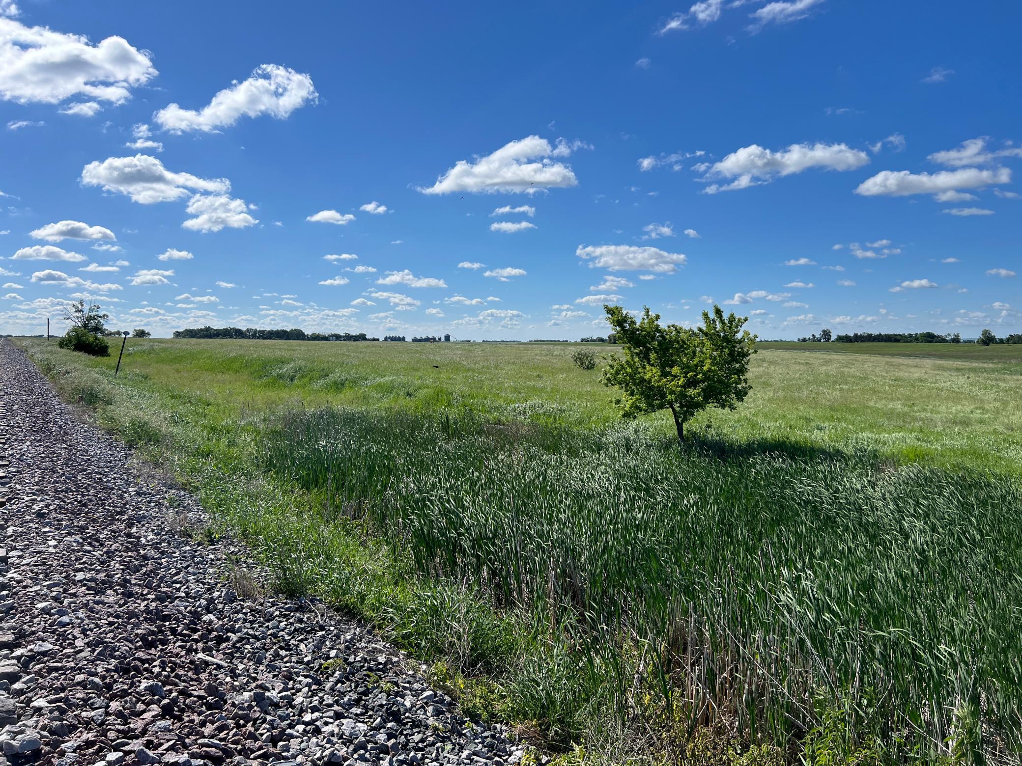 Tbd Southeast Tbd Se 90th Street Rutland, ND 58067 - Photo 76 of 105