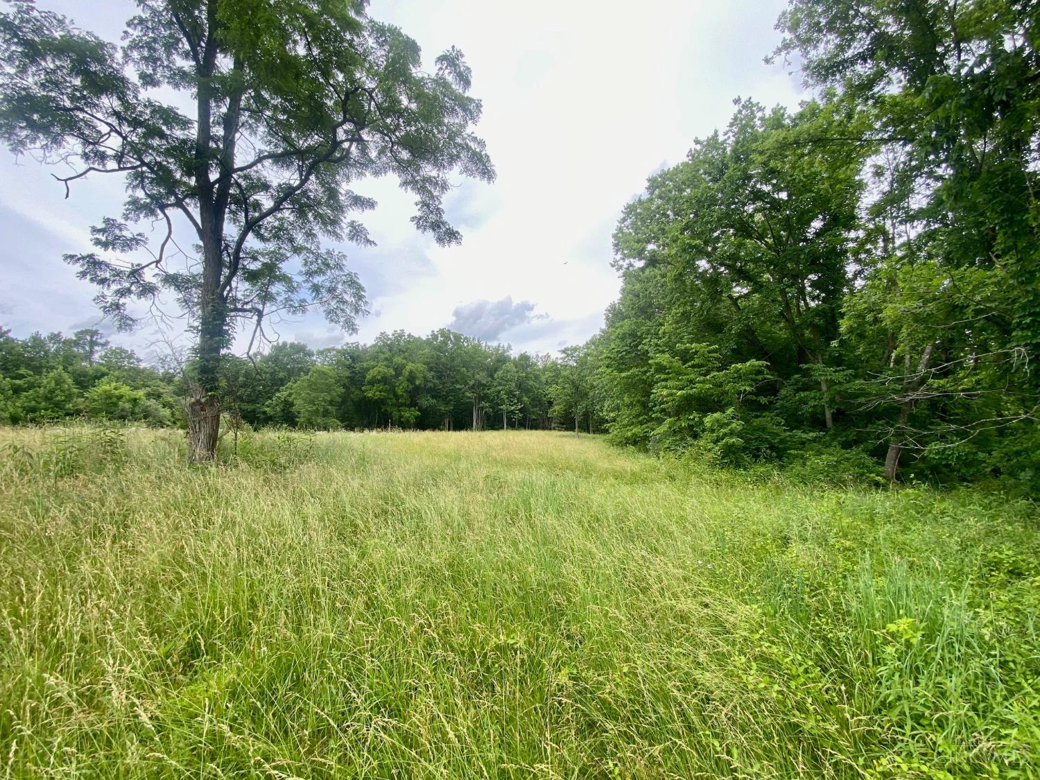 400 Lynn Morgan Road Seaman, OH 45679 - Photo 2 of 24