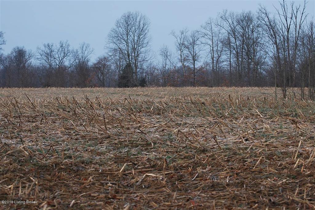 0 Jarboe Sinks Road Rhodelia, KY 40161 - Photo 1 of 9 Land