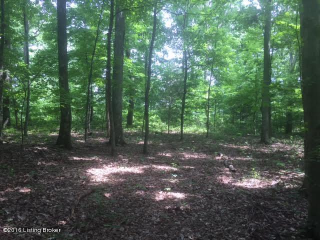 0 Lickskillet Road Shepherdsville, KY 40165 - Photo 5 of 5 5