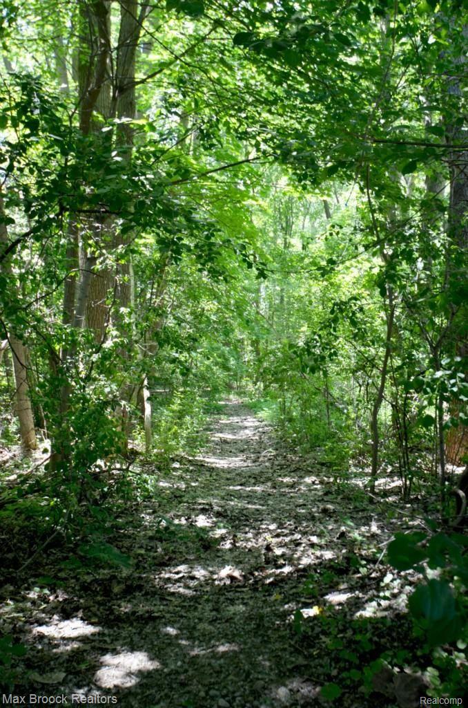 3791 West Pemberton Road Bloomfield Hills, MI 48302 - Photo 82 of 82 walking path to out lot copy.jpg