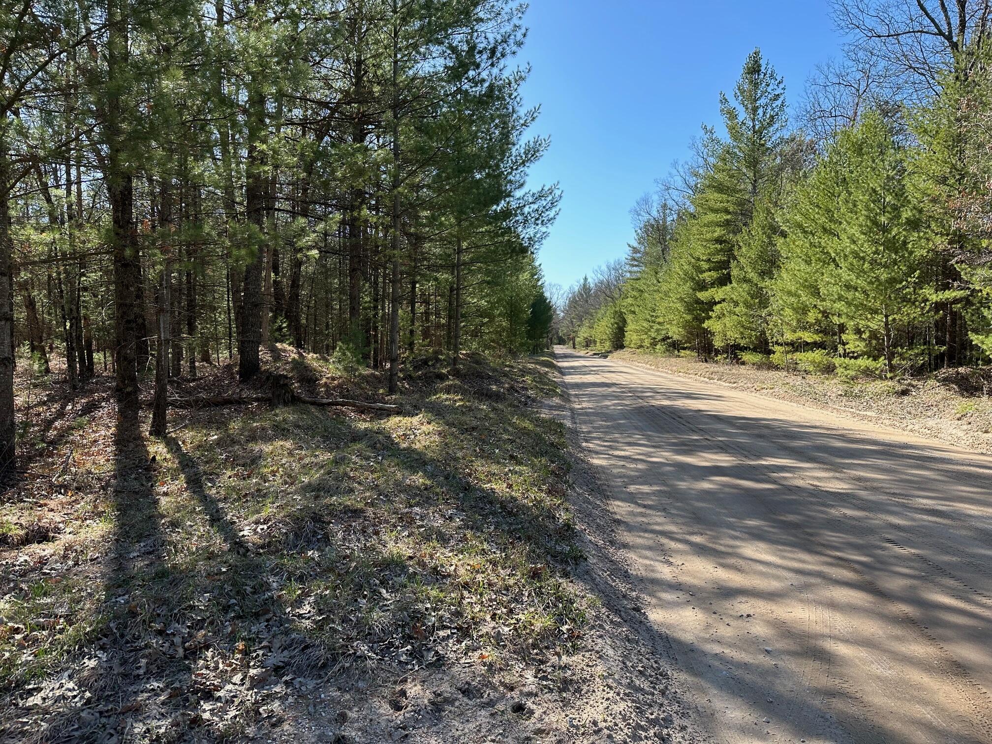 V/l East County Line Road Manistee, MI 49660 - Photo 5 of 13 IMG_2667