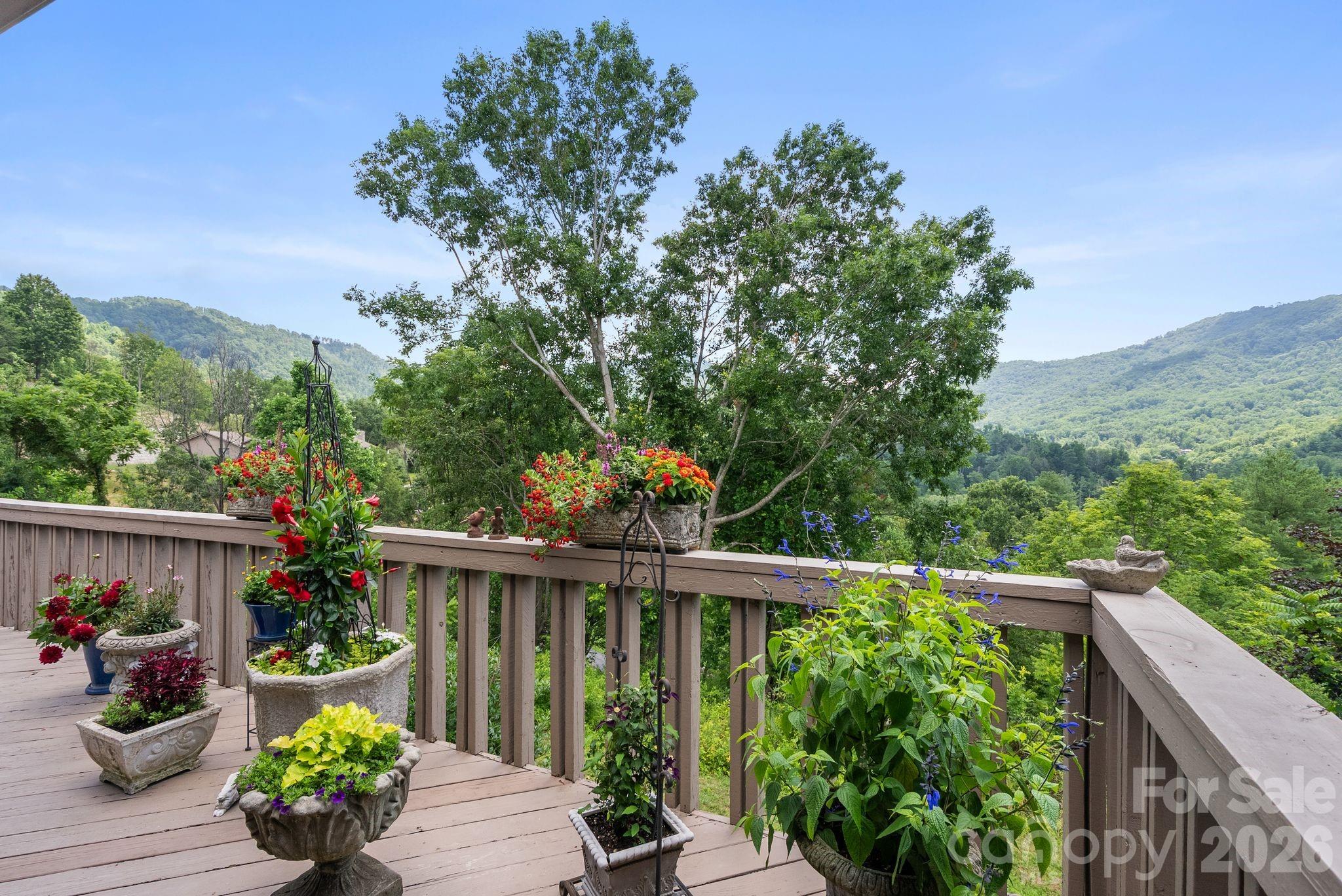 48 Stony Ridge Asheville, NC 28804 - Photo 3 of 38