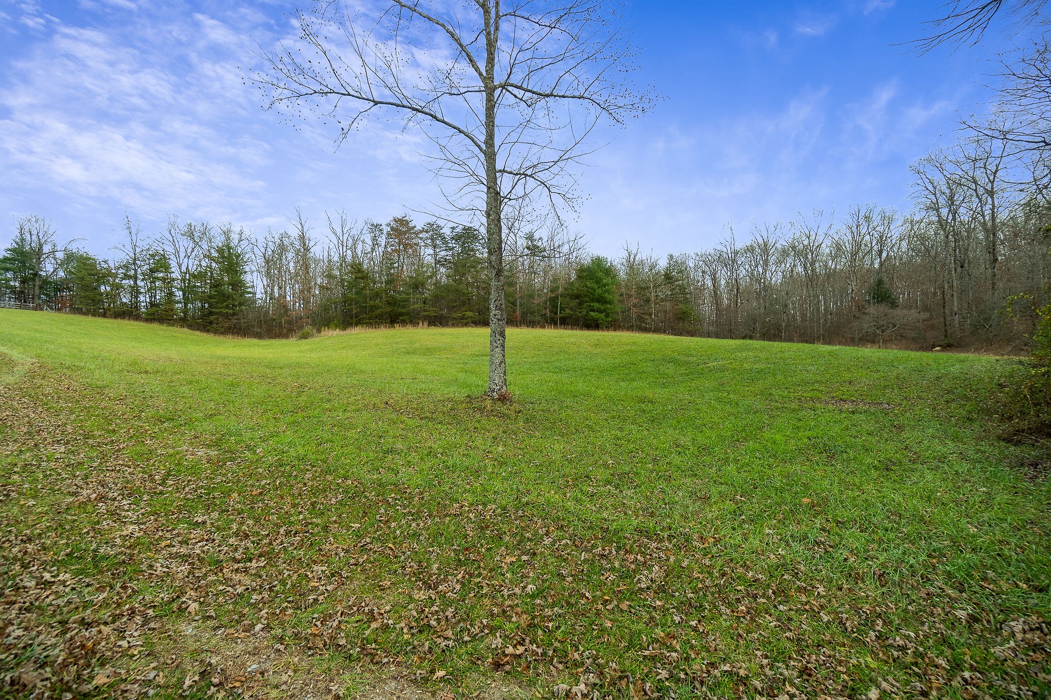437 Wilson Road Crossville, TN 38571 - Photo 1 of 39 Gallery Image 1