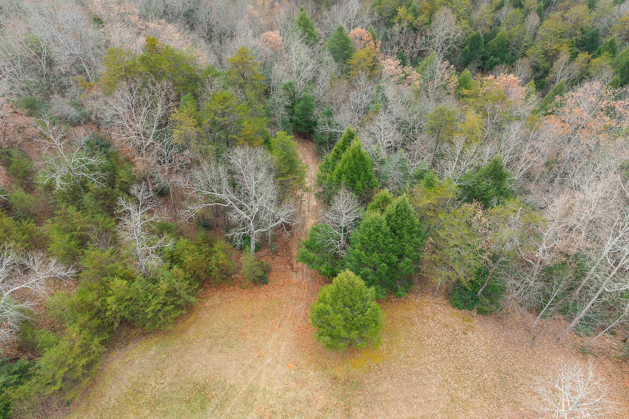 437 Wilson Road Crossville, TN 38571 - Photo 11 of 39 Gallery Image 11