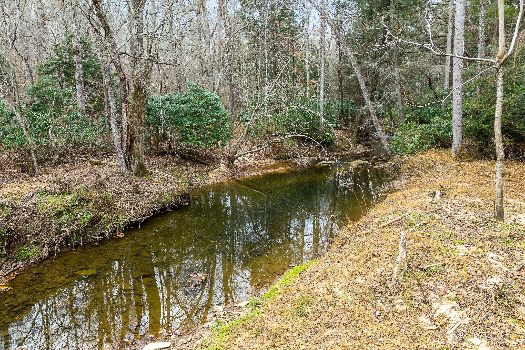 437 Wilson Road Crossville, TN 38571 - Photo 2 of 39 Gallery Image 2
