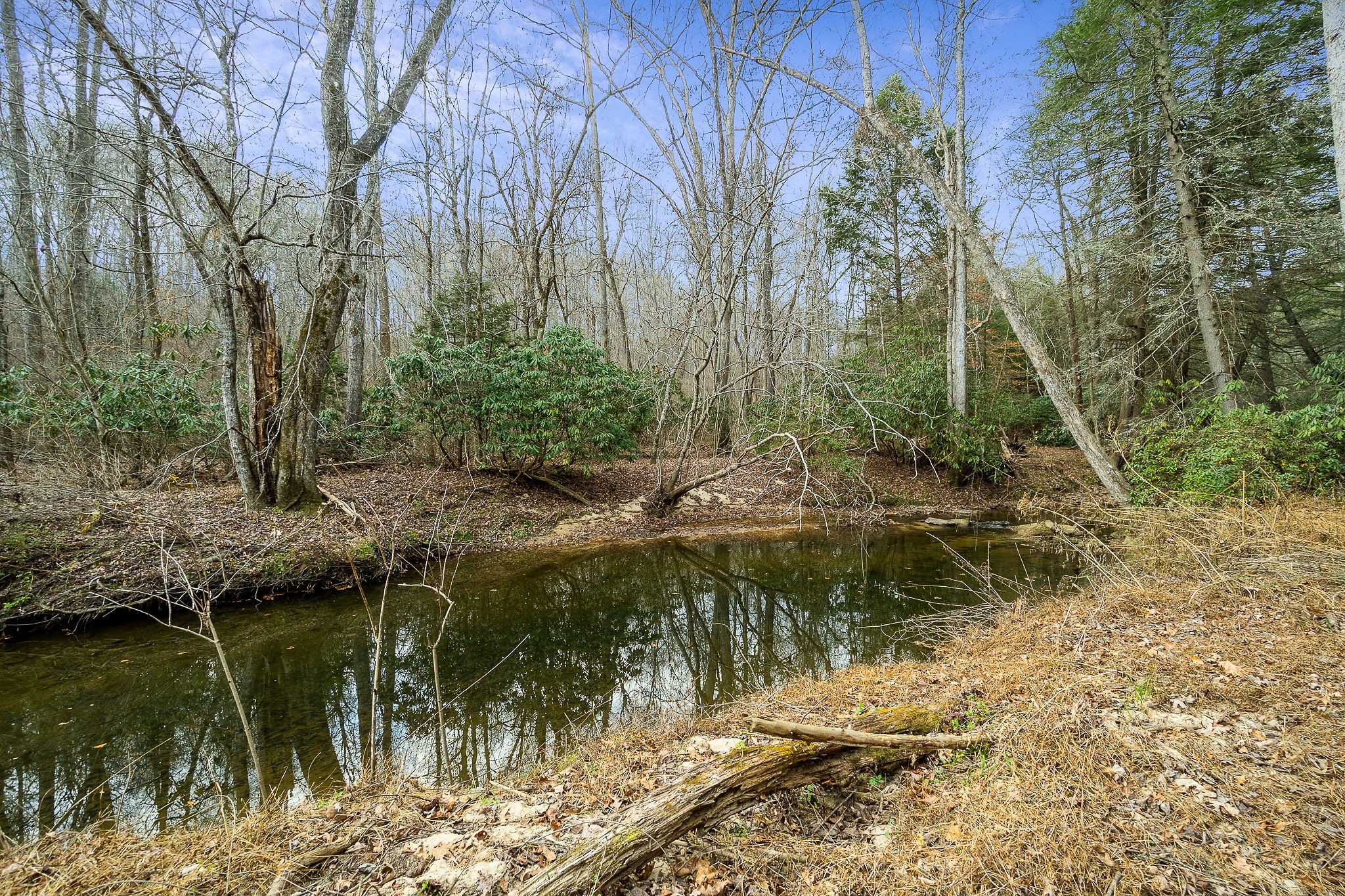 437 Wilson Road Crossville, TN 38571 - Photo 24 of 39 Gallery Image 24