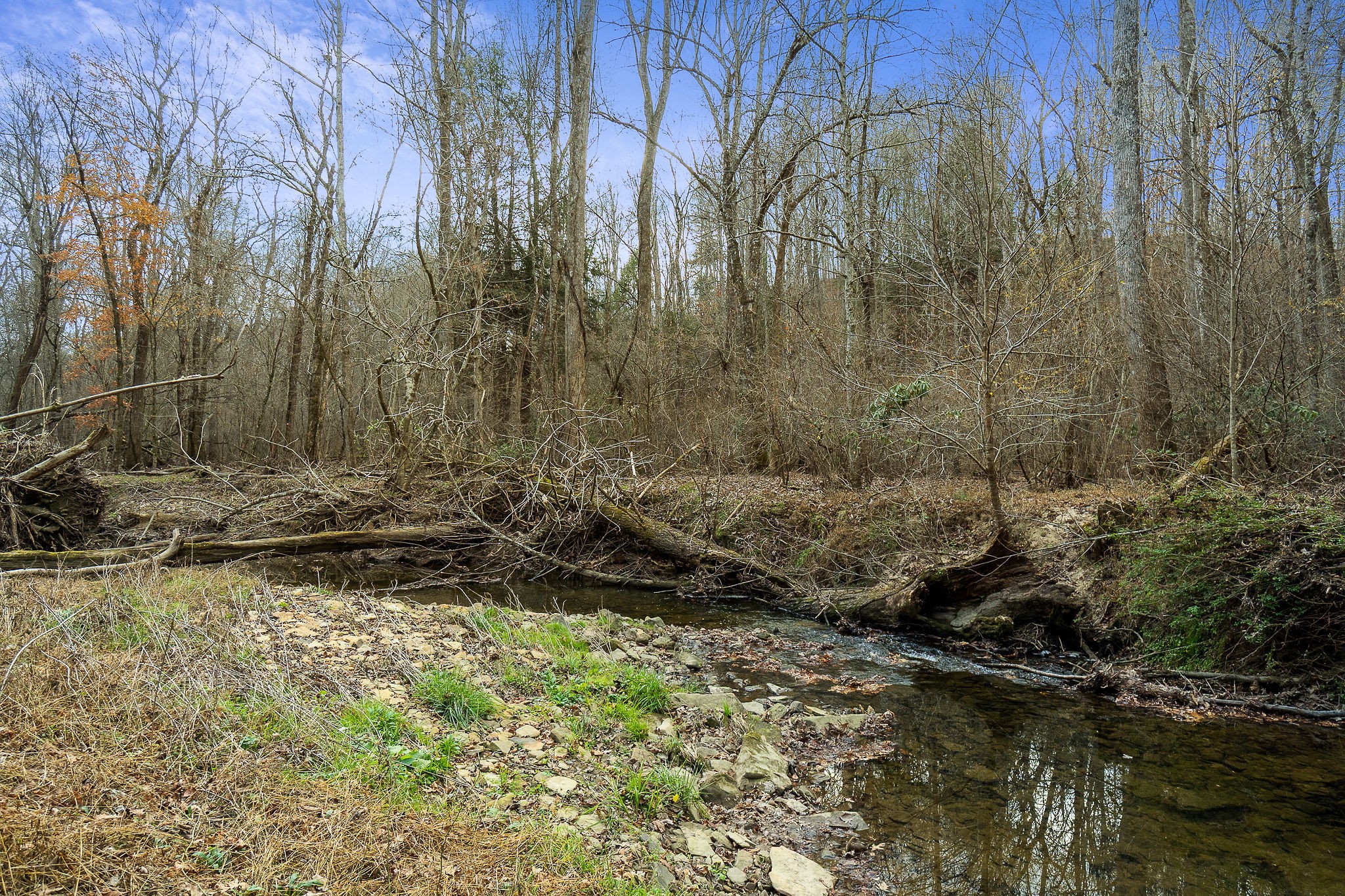 437 Wilson Road Crossville, TN 38571 - Photo 25 of 39 Gallery Image 25