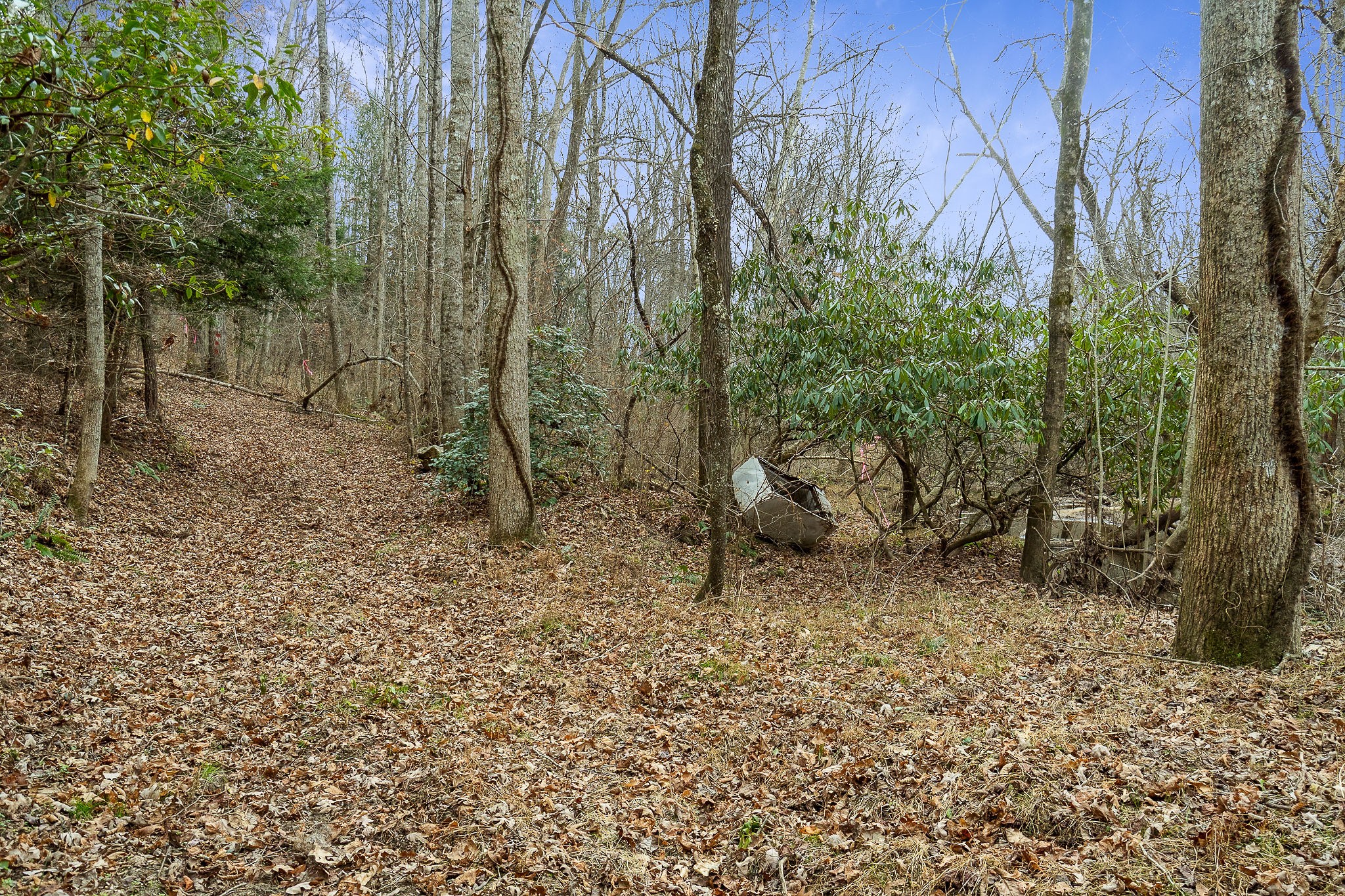 437 Wilson Road Crossville, TN 38571 - Photo 27 of 39 Gallery Image 27