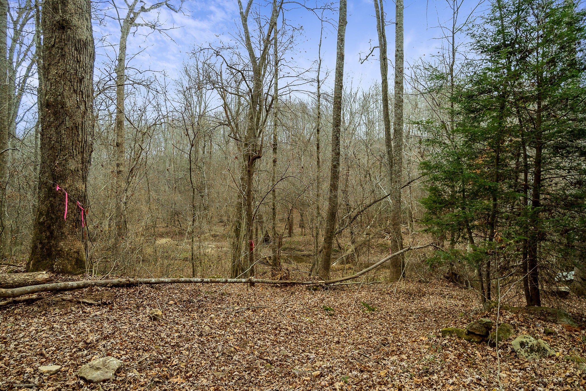 437 Wilson Road Crossville, TN 38571 - Photo 28 of 39 Gallery Image 28