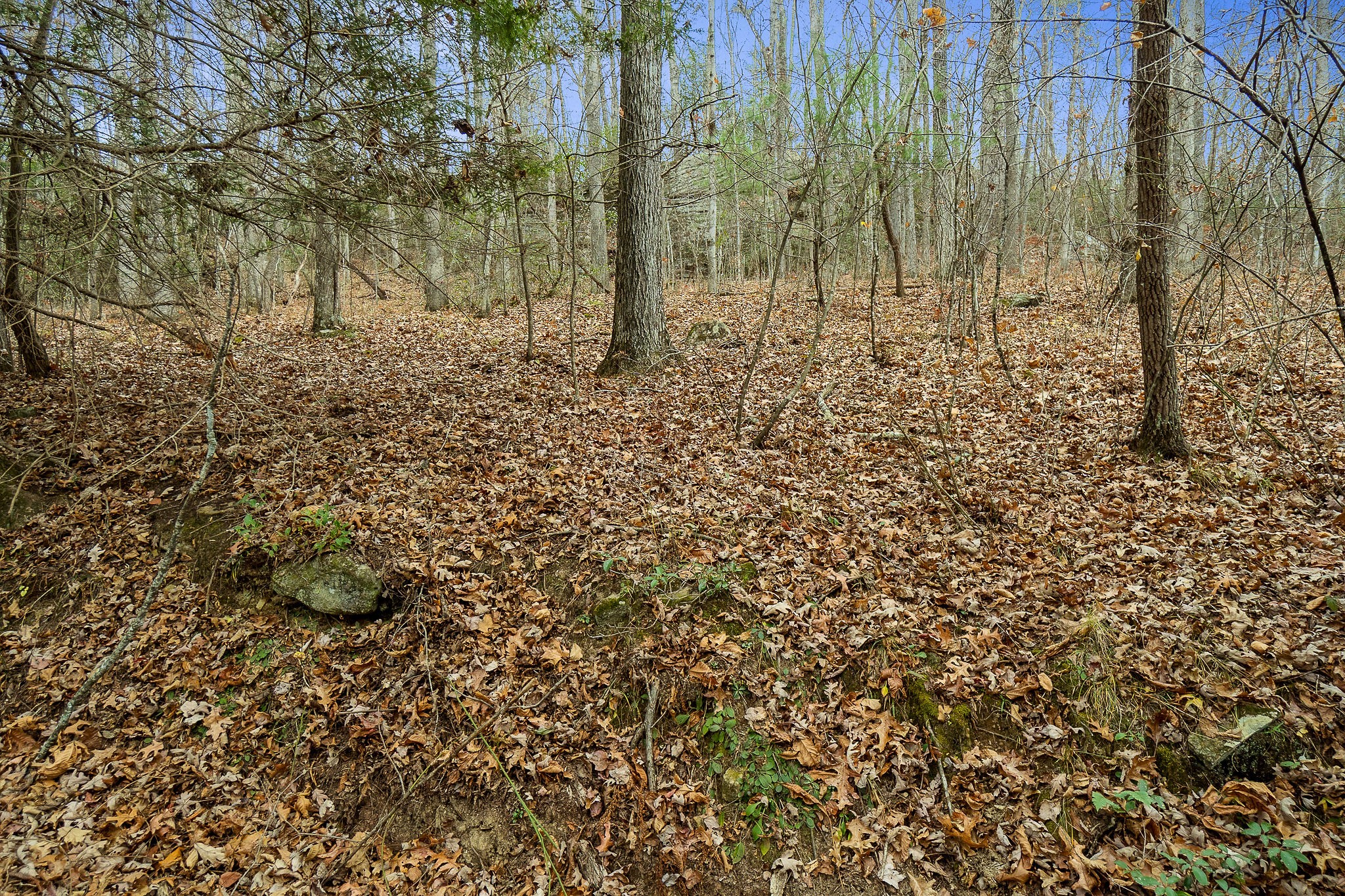 437 Wilson Road Crossville, TN 38571 - Photo 29 of 39 Gallery Image 29