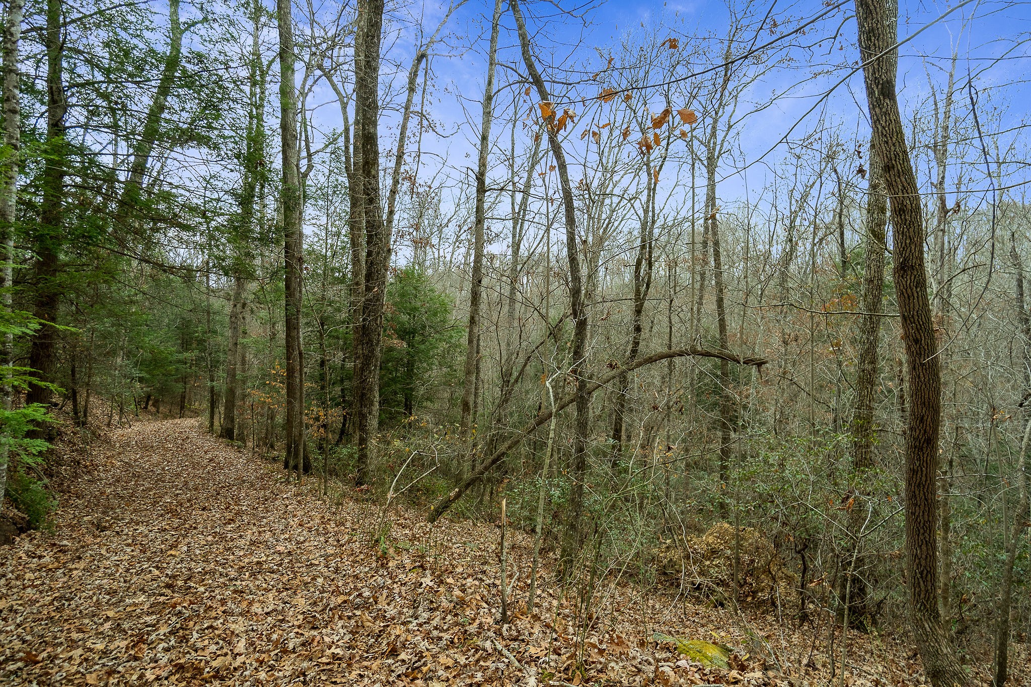 437 Wilson Road Crossville, TN 38571 - Photo 31 of 39 Gallery Image 31