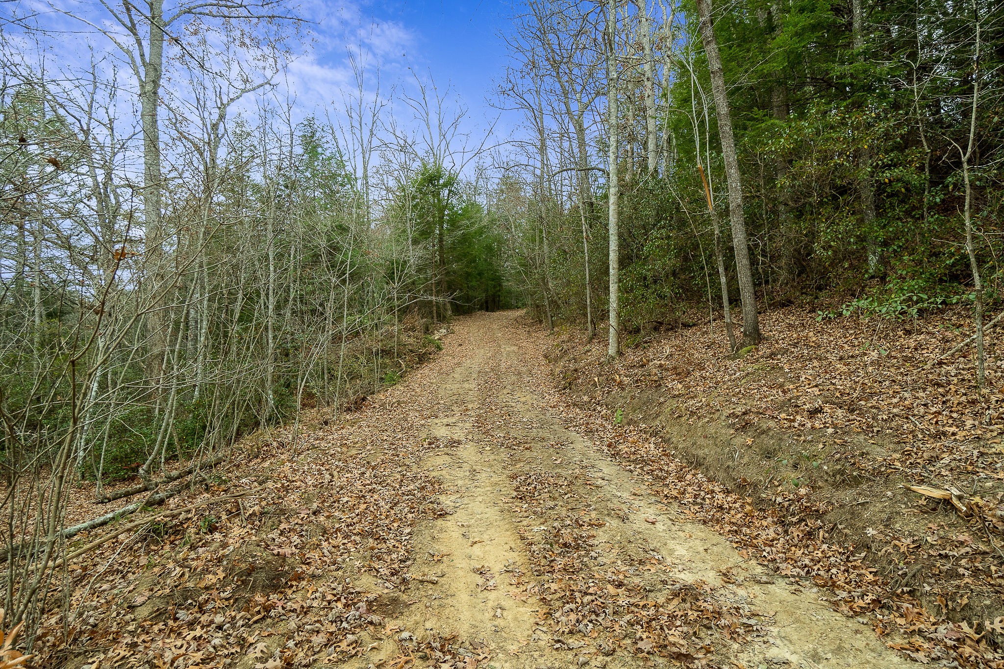 437 Wilson Road Crossville, TN 38571 - Photo 33 of 39 Gallery Image 33